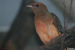 Zoo Wuppertal