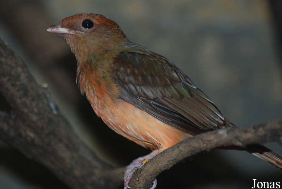 Zoo Wuppertal