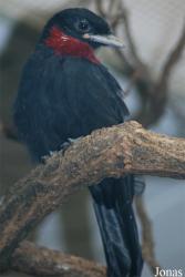Zoo Wuppertal