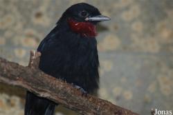 Zoo Wuppertal