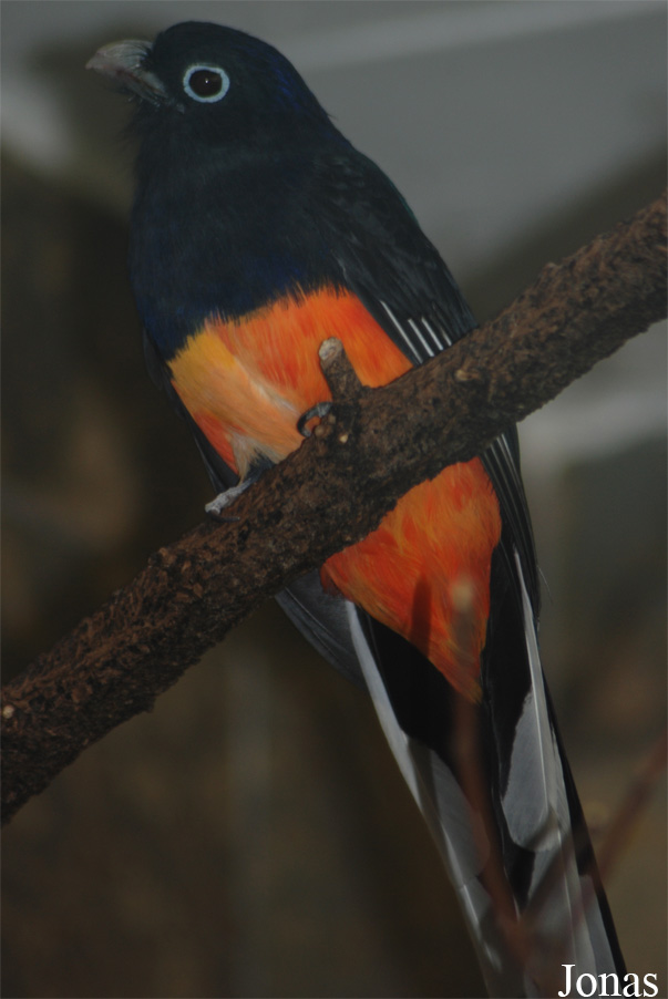 Zoo Wuppertal