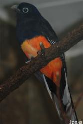 Zoo Wuppertal