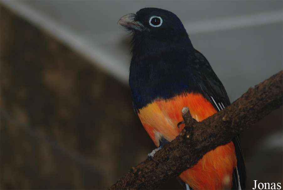 Zoo Wuppertal