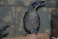 Zoo Wuppertal