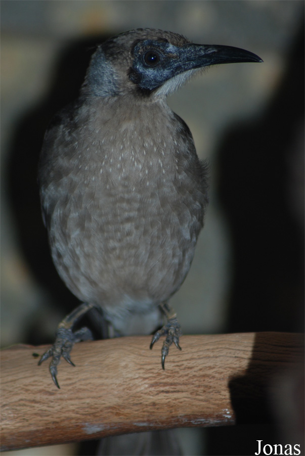 Zoo Wuppertal