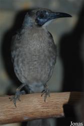 Zoo Wuppertal