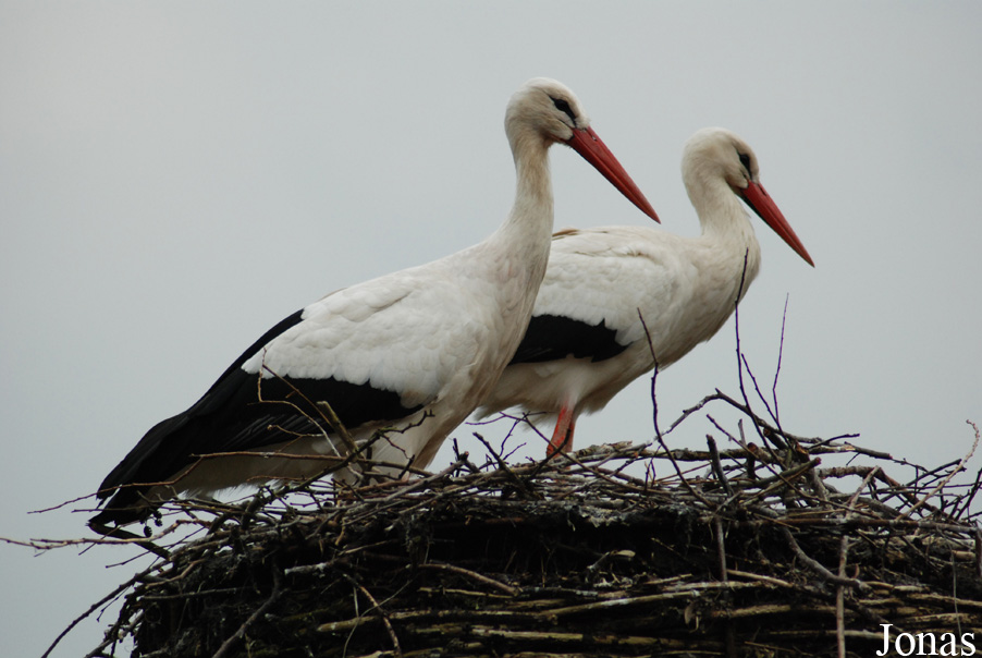 Aqua Zoo Friesland