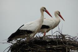 Aqua Zoo Friesland