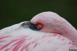 Aqua Zoo Friesland