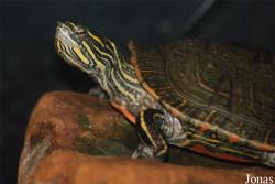 Aqua Zoo Friesland