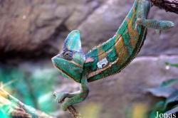 Zoo Landau in der Pfalz