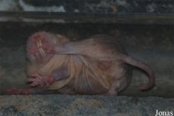 Dierenpark Emmen