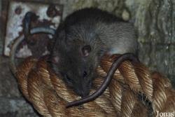 Dierenpark Emmen