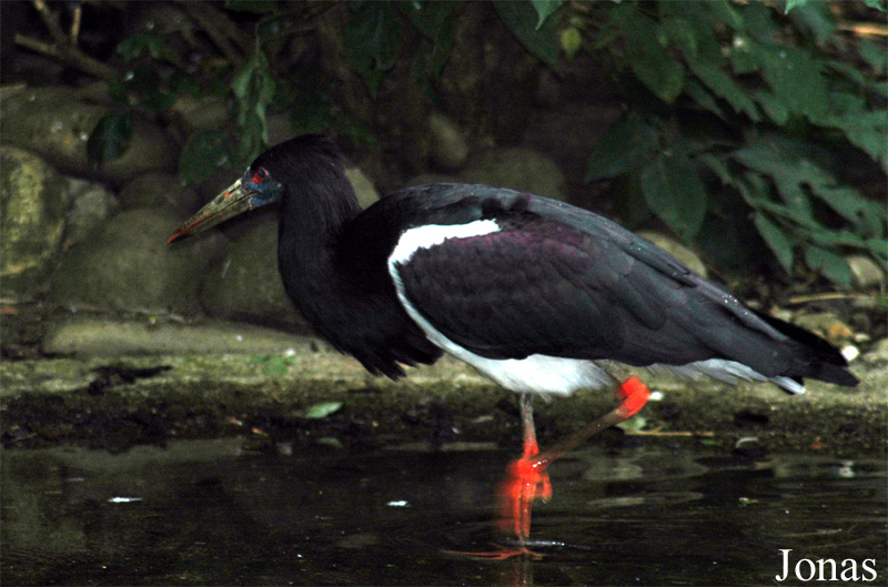 Zoo Landau in der Pfalz