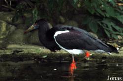 Zoo Landau in der Pfalz