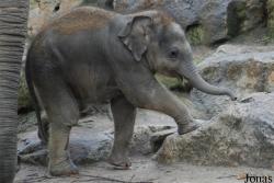 Dierenpark Emmen
