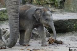 Dierenpark Emmen