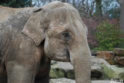 Dierenpark Emmen