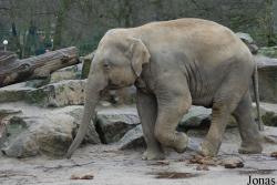 Dierenpark Emmen