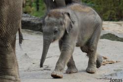 Dierenpark Emmen