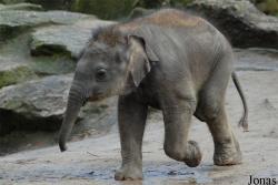 Dierenpark Emmen