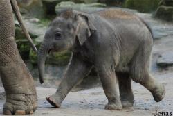 Dierenpark Emmen