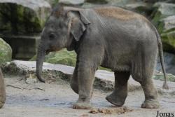 Dierenpark Emmen