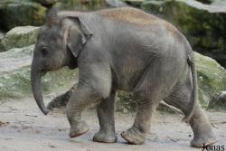 Dierenpark Emmen