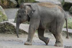 Dierenpark Emmen