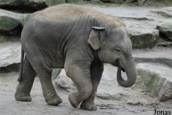 Dierenpark Emmen