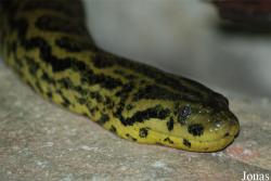 Zoo d'Amnéville
