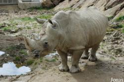 Zoo d'Amnéville