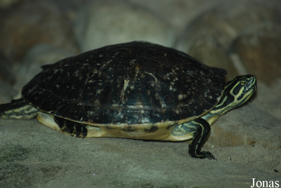Zoo Landau in der Pfalz