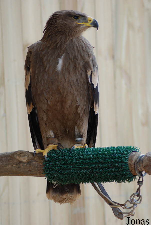 Zoo d'Amnéville