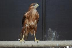 Zoo d'Amnéville
