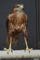 Zoo d'Amnéville
