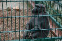 Tierpark Limbach-Oberfrohna