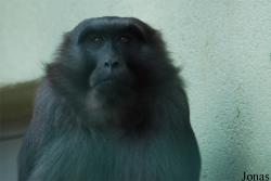 Tierpark Limbach-Oberfrohna