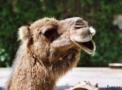 Zoo Landau in der Pfalz