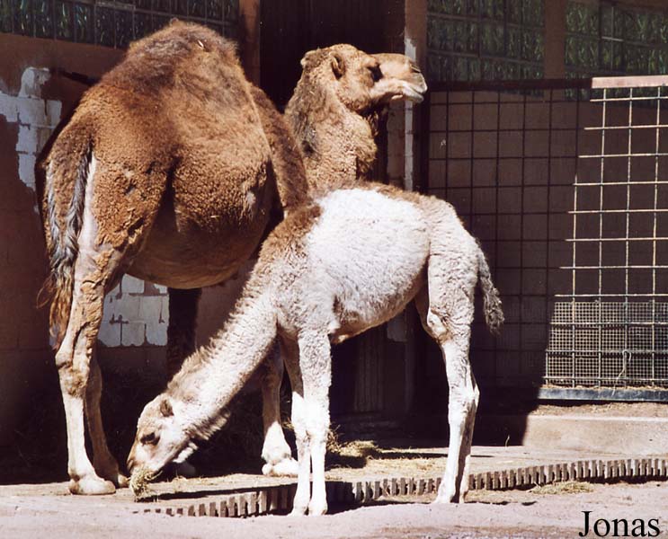 Zoo Landau in der Pfalz