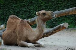 Zoo Landau in der Pfalz