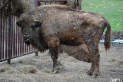 Podkrušnohorský Zoopark Chomutov