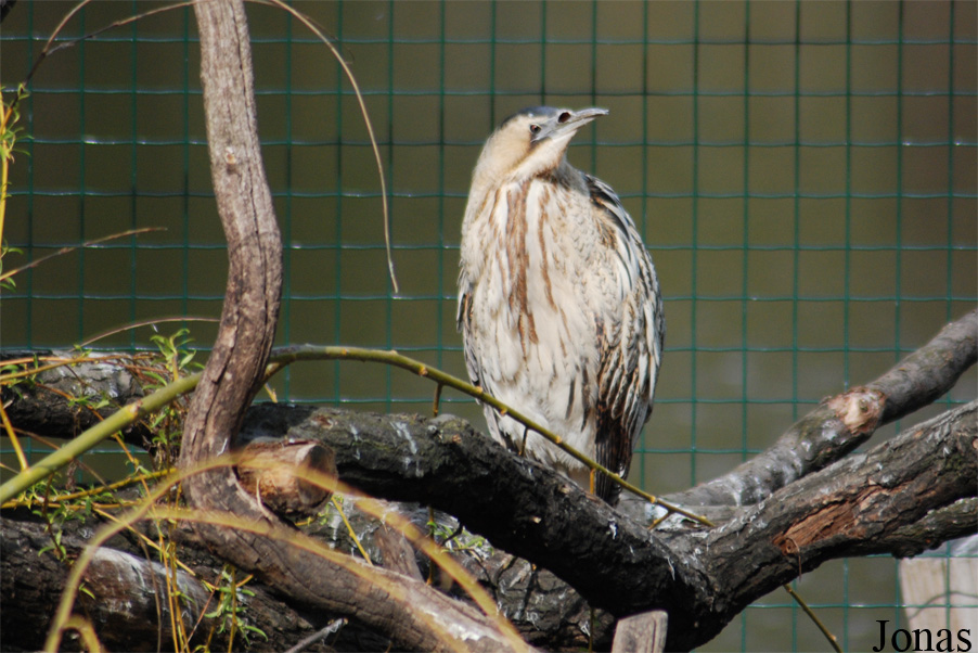 Podkrušnohorský Zoopark Chomutov