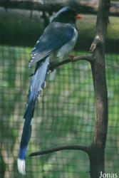 Podkrušnohorský Zoopark Chomutov