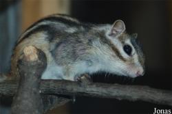 Podkrušnohorský Zoopark Chomutov