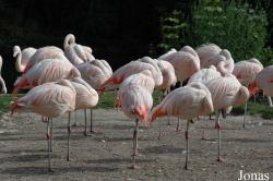 Zoo Landau in der Pfalz