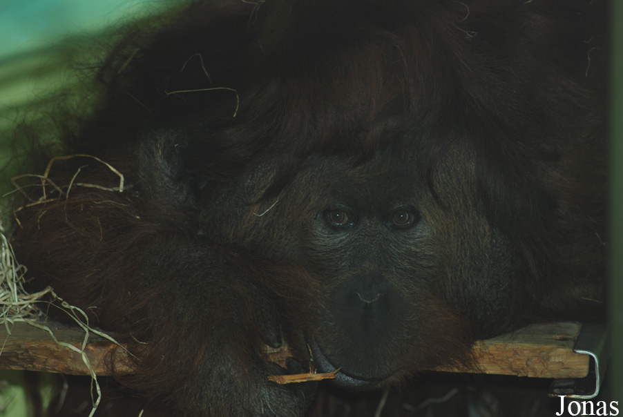 Zoologická zahrada Ústí nad Labem