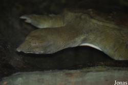 Zoologická zahrada Ústí nad Labem