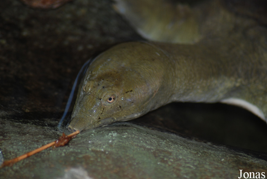 Zoologická zahrada Ústí nad Labem