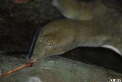Zoologická zahrada Ústí nad Labem